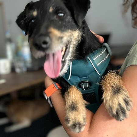 Unser neues Mitglied im Team LHD: die liebe Wilma 🫶🏼